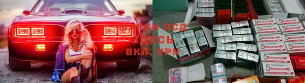 винт Болотное