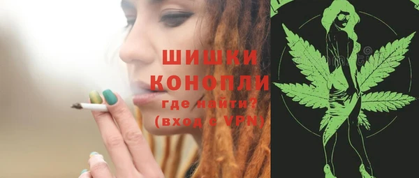 винт Болотное