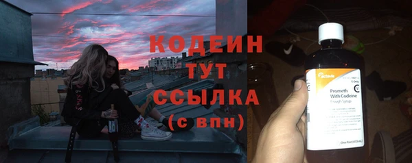 трава Бикин