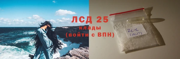 винт Болотное