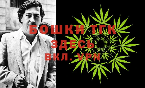 ешки Билибино