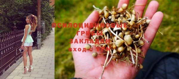 экстази Болохово