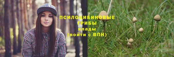 трава Бикин