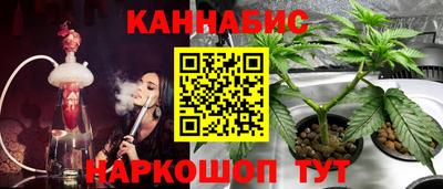 Альфа ПВП Беслан