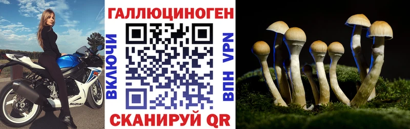цены наркотик Грязи Псилоцибиновые грибы MAGIC MUSHROOMS