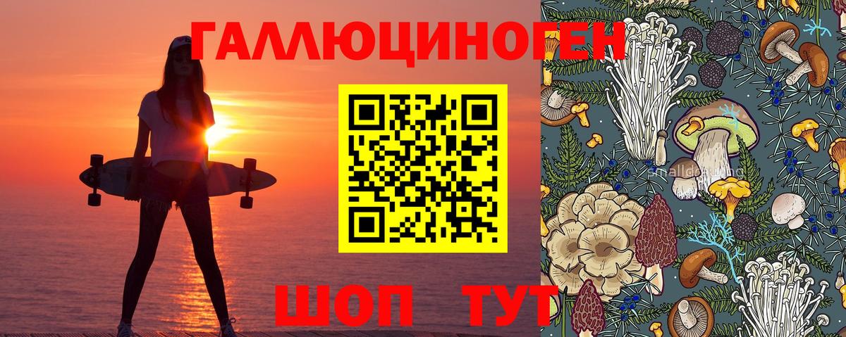 ГАШ Грязи