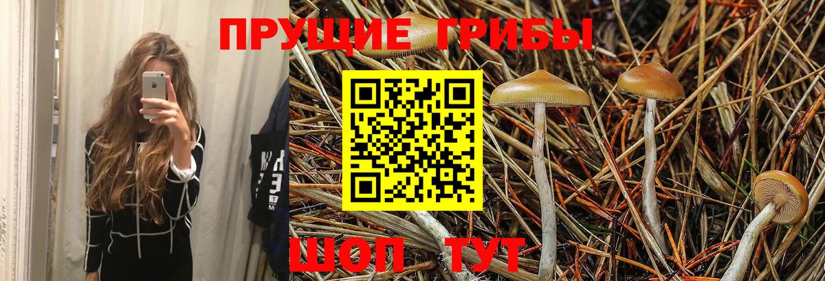 Галлюциногенные грибы мицелий  Псилоцибиновые грибы MAGIC MUSHROOMS  Грязи 