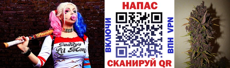 где можно купить   Грязи  Шишки марихуана Amnesia 